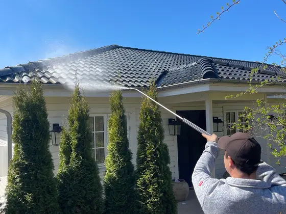 Aktiv Rens medarbejder udfører algebehandling med spray-lance