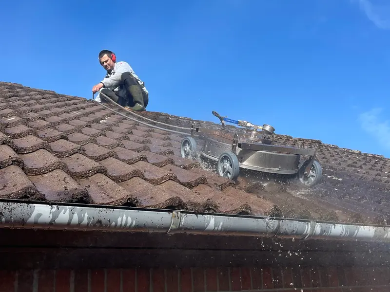 Tag med tæt algedække før