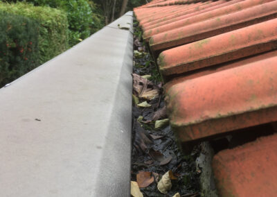 Billede af tilstoppet tagrende med skidt