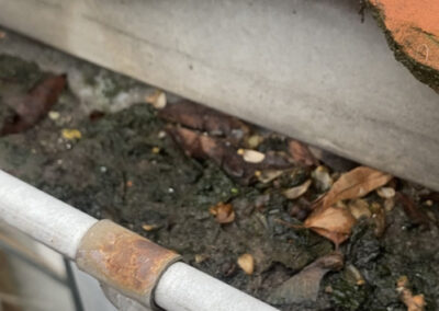 Billede af skidt i tagrende