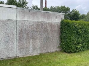 Alger og trafikforurening på facade i København før rensning